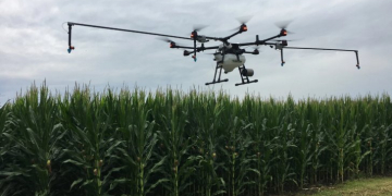 Rantizo: How to Optimize Fungicide Applications with Drones