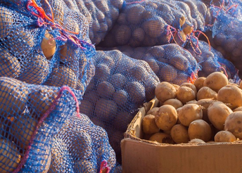 fresh potatoes in the box, potatoes, view on bags and crates of potato in storage house