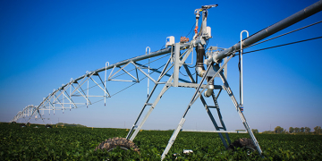 GoldenGrow: precision farming pays off for KwaZulu-Natal potato producer