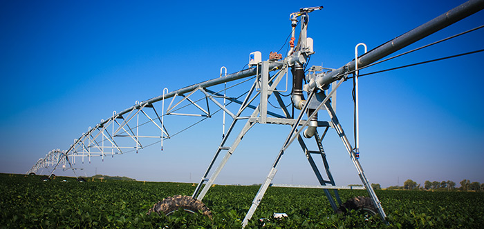 GoldenGrow: precision farming pays off for KwaZulu-Natal potato producer