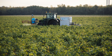 The crop.zone solution is a step forward for alternative crop desiccation.