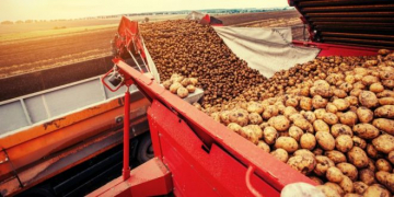 2021 NEPG’S POTATO PLANTING AREAS ARE GOING DOWN