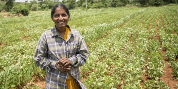 ‘G+ Tools’: A new gender-responsive toolkit for breeding