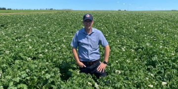 Canada: Prince Edward Island potato farmers seeing ‘best growing conditions’ in years