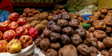 Successful conclusion to restarted Potato Days Turkey 2021