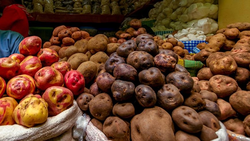 Successful conclusion to restarted Potato Days Turkey 2021