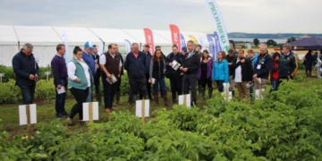 ‘Potatoes in Practice 2021’ to focus on new varieties, IPM and trade challenges