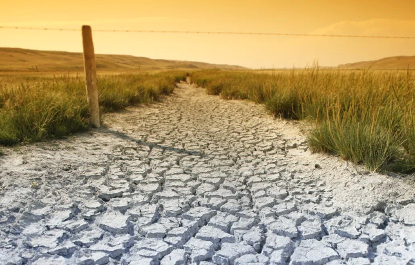 Gli agricoltori della prateria lottano mentre la siccità sta per diventare "una delle peggiori nella storia del Canada"