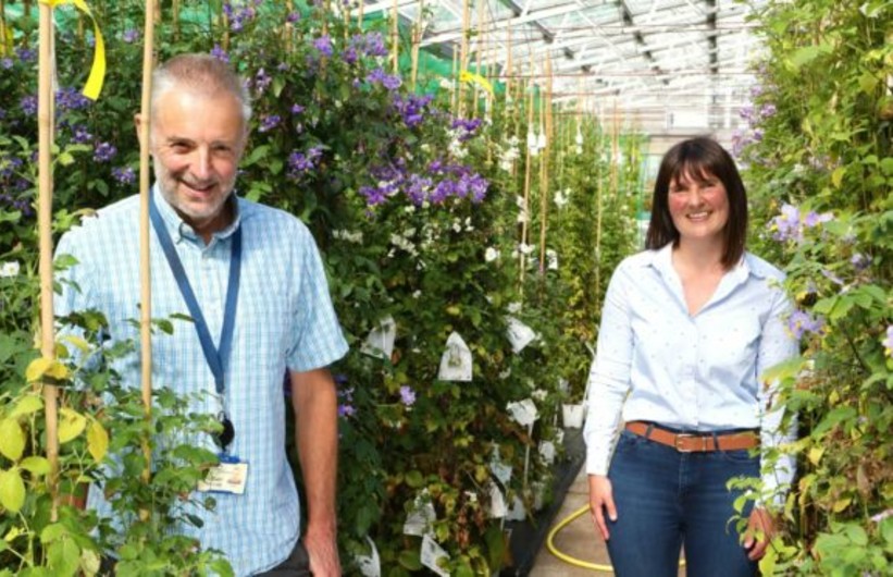 Dh’fhaodadh dìomhaireachdan mu dhuilgheadasan buntàta a bhith ann an ionmhas Albannach de ghnèithean buntàta tearc