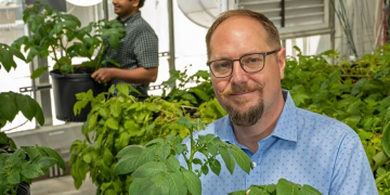 Unraveling the wound-healing process in potatoes