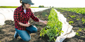 Dacom’s Acquisition by CropX – “The Missing Piece in the Puzzle” of Data Analytics