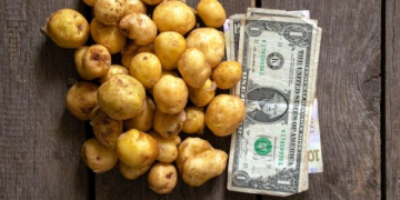 Despite a Year of Crises, The Value of the NZ Potato Industry Sits at USD1bn