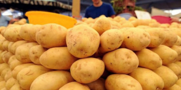 U.S. potato exports recover in Marketing Year 2020/21