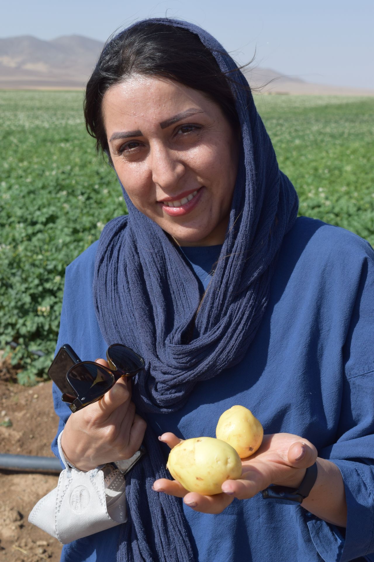 Saatkartoffelproduzenten des Iran