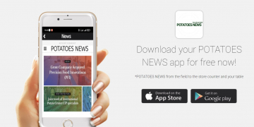 News about potatoes is now always at hand