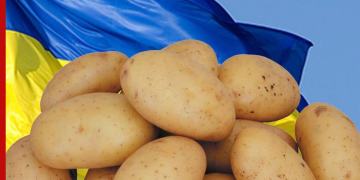 Ukrainian Potato Day proves its position as Ukraine’s leading potato event with over 600 visitors