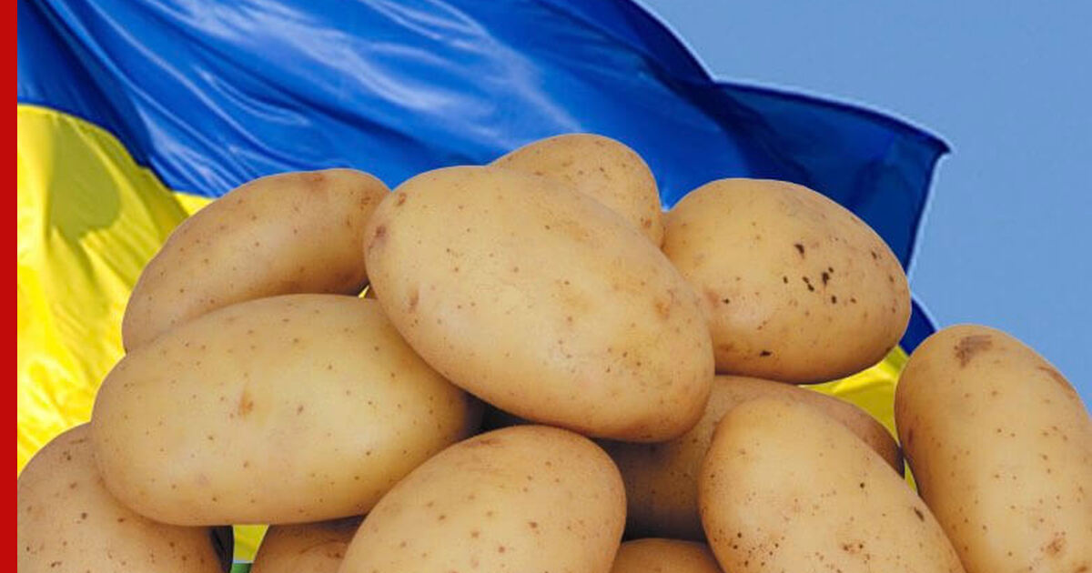 Ukrainian Potato Day proves its position as Ukraine’s leading potato event with over 600 visitors