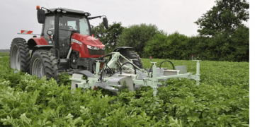 Colorado beetle catcher deals with ‘lazy potato pest’