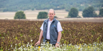 Scottish potato trials plough on despite AHDB Potatoes’ demise