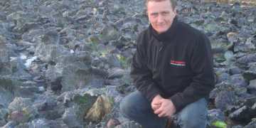 UK importer of seaweed-based biostimulant wants to establish network of regional agronomists
