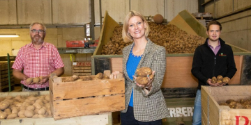 Irish govt wants to help potato growers get their produce into chip shops