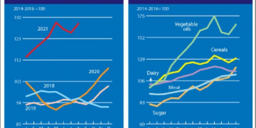 The FAO Food Price Index rebounded rapidly in August