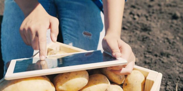 US Fresh Potato Retail Sales Reach USD3.1bn for the July 2020 – June 2021 Year