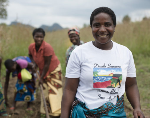 With 50 years of success in Africa, CIP sets its sights higher