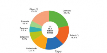 The EU potato sector in 2020: statistics on production & trade