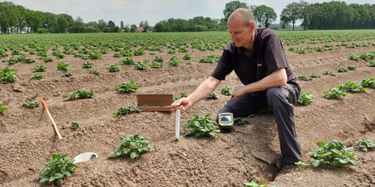 https://potatoworld.eu/news/potato-crop-development-extreme-weather/#more-2678