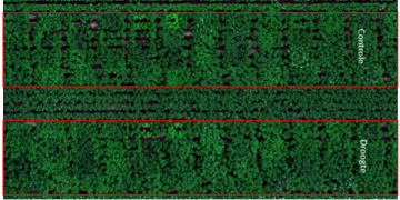 ADAPT project – 2021 field trials’ progress report