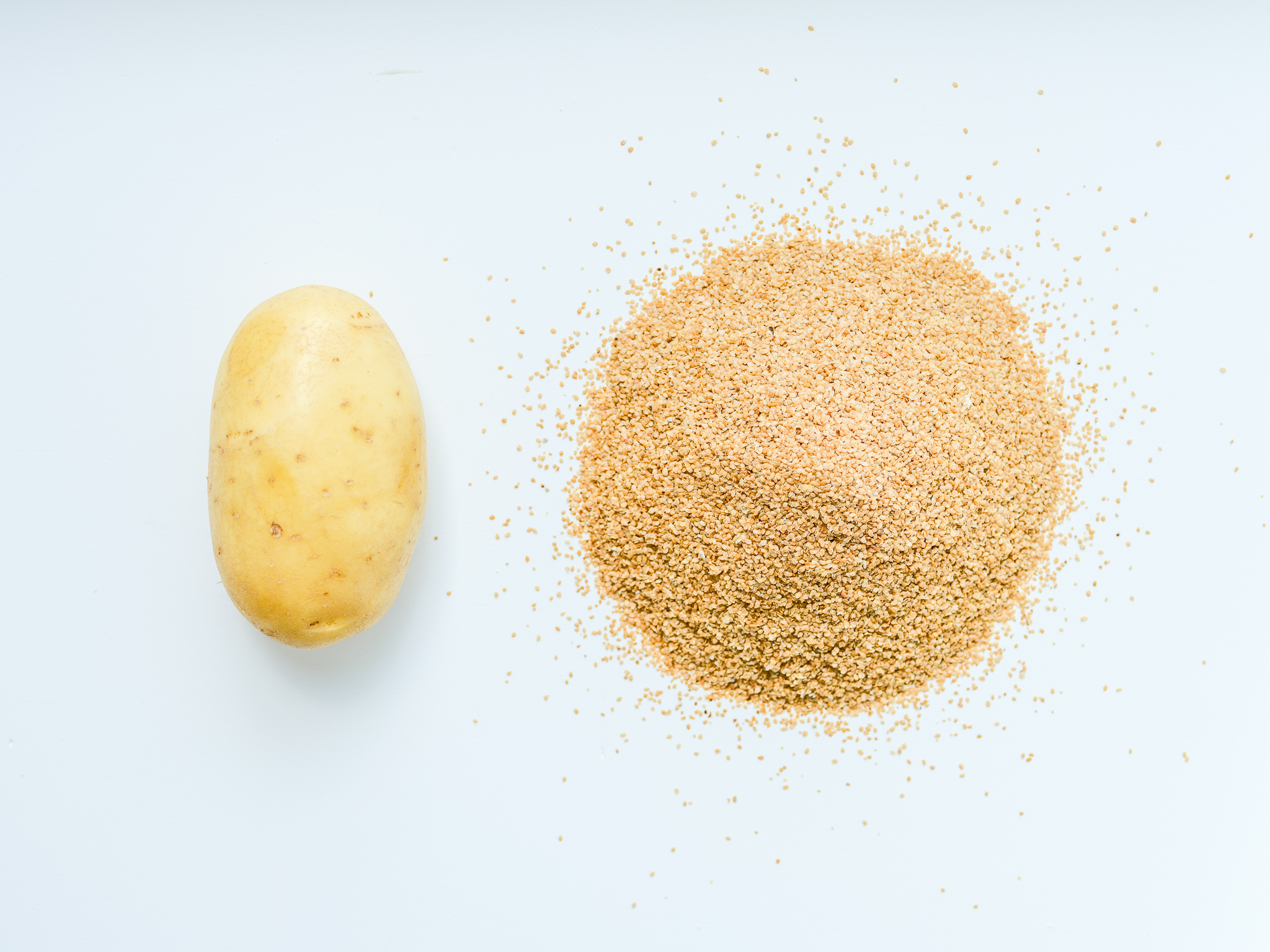 Potato Days Live inspires the sector to makesustainable choices 2 Potato Seed