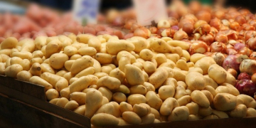 NASS report: Potatoes sold by Pacific Northwest states valued at $1,82bn