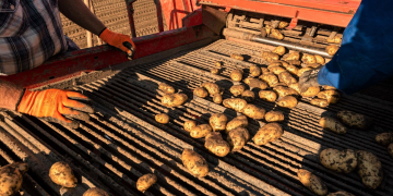 POSITIVES OFFER PERSPECTIVE AFTER CHALLENGING CORONA YEAR FOR HZPC