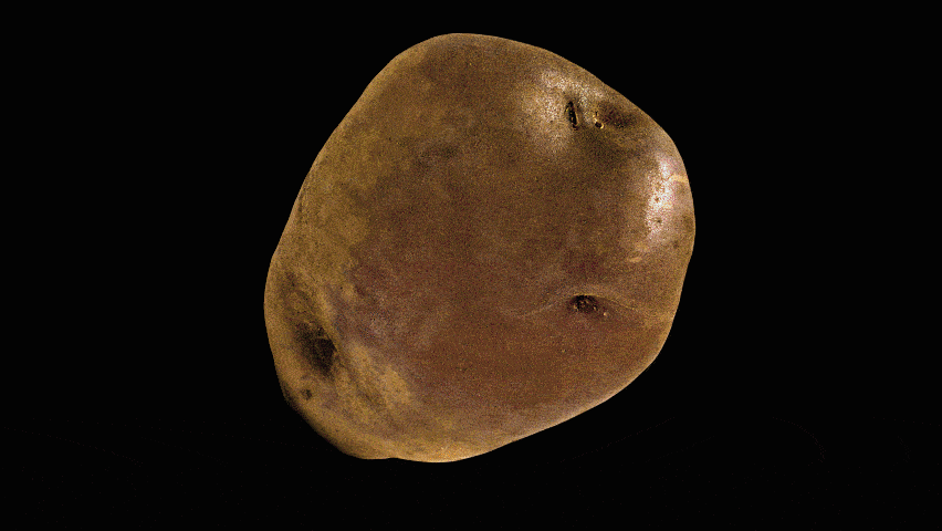 The Potatoes News portal joins the call of the World Potato Congress, Inc. #WorldPotatoCongress and #Potatoes.news