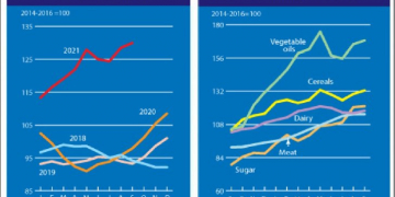 The FAO Food Price Index rose further in September