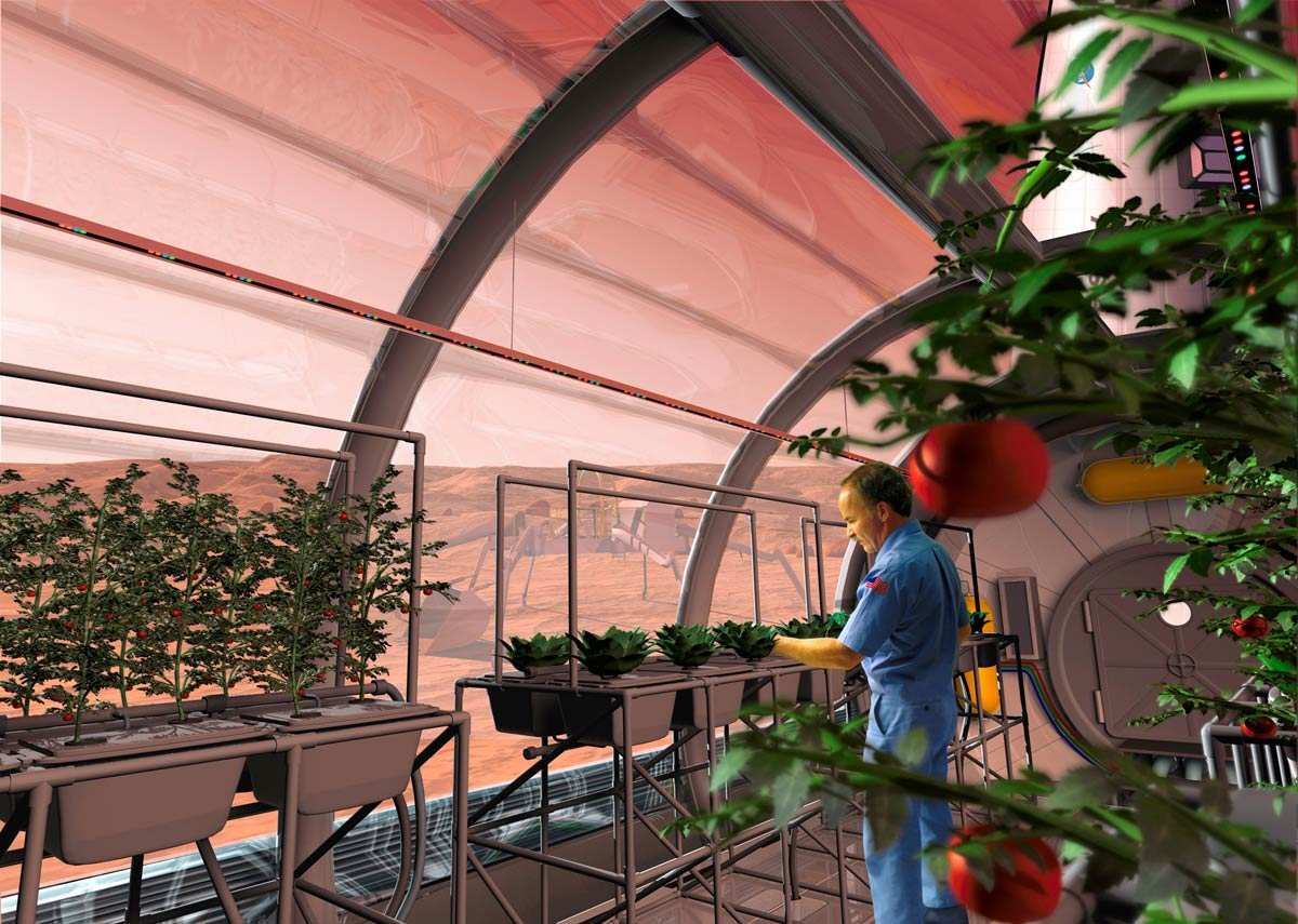 Biotechnological development of plants for space agriculture