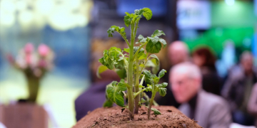 GREEN LIGHT FOR INTERPOM 2021! Let’s reconnect the potato chain