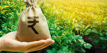 India: Kolkata Government Subsidizes Inter-state Potato Trade Transport and Export