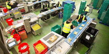 Pocatello Airport to Host a Cold Storage Facility that Includes Fry, Dehy Processing Lines