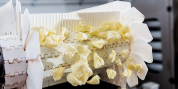 Production at a Bosnian Potato Chips Factory Halted