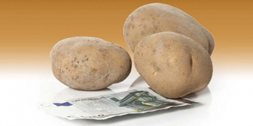 Sales Increase for HZPC