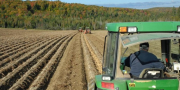 It’s shaping up to be a banner year for Aroostook County (Maine) potatoes