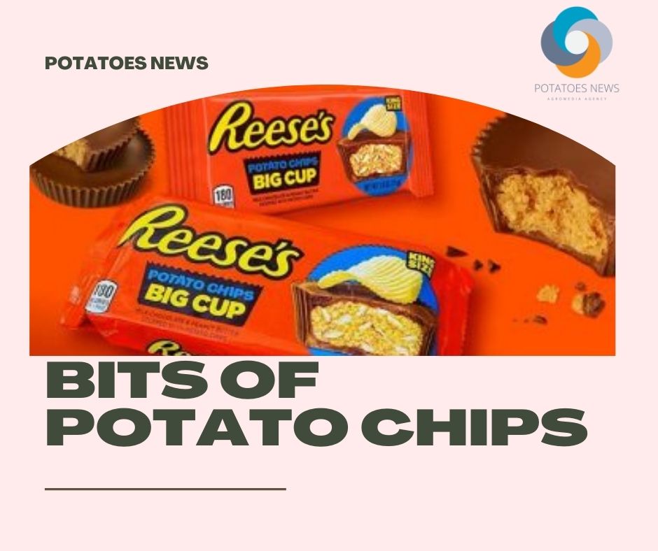 Reese's Releases Potato Chip Peanut Butter Cups