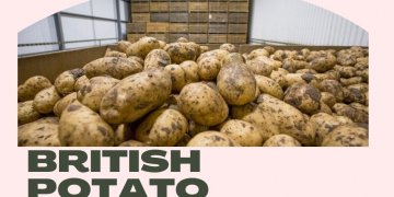 British potato growers face legal action over final AHDB levy payment