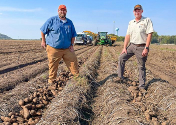 Beau Hartline and Joe Hartung in potato field