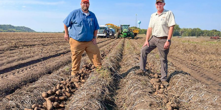 Beau Hartline and Joe Hartung in potato field