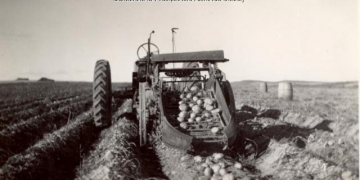 Changing dynamics of the Canadian potato industry over the 40 years