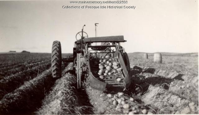 Changing dynamics of the Canadian potato industry over the 40 years