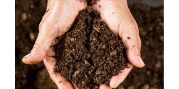 Guides launched to help growers manage soil